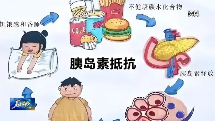17508195496673XD4.png